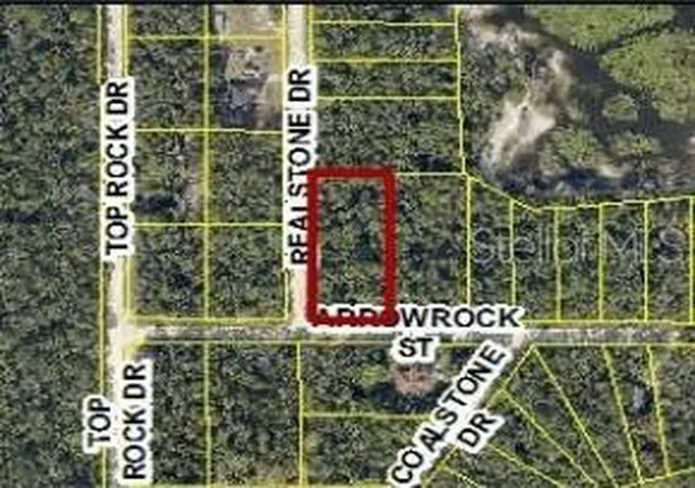 Homes for sale in Webster, FL | 9028 Realstone Dr, Webster, FL 33597 | MLS# W7886940
