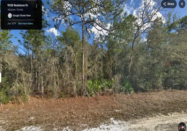 Homes for sale in Webster, FL | 9028 Realstone Dr, Webster, FL 33597 | MLS# W7886940