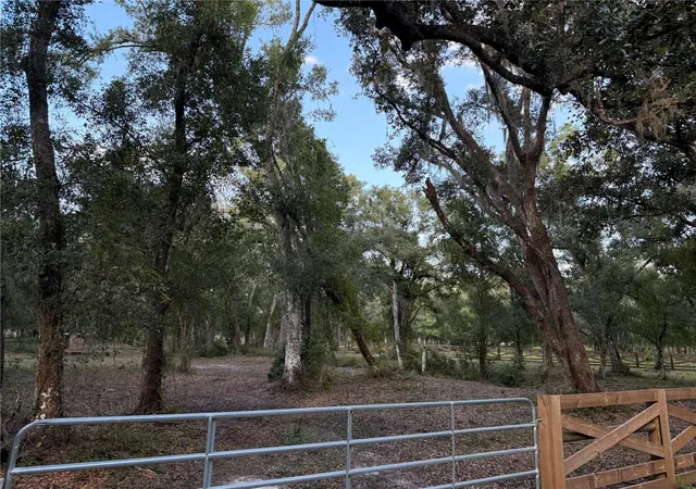 1st image of Se Brown Rd, Arcadia, FL 34266 | MLS# C7527617