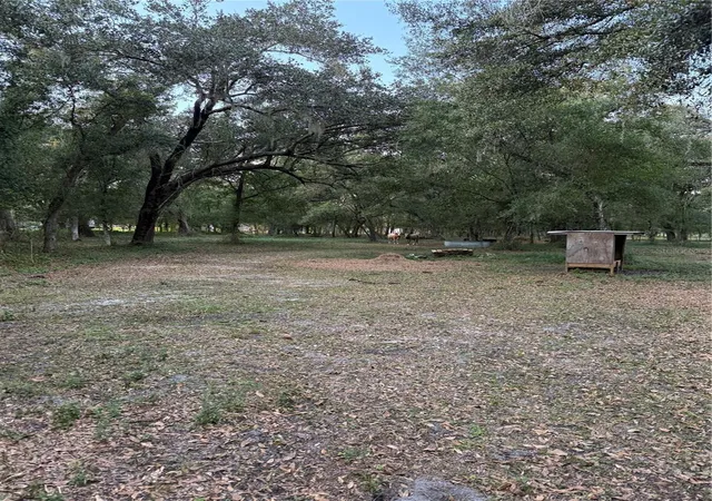 15th image of Se Brown Rd, Arcadia, FL 34266 | MLS# C7527617