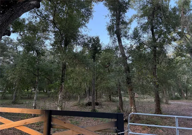 4th image of Se Brown Rd, Arcadia, FL 34266 | MLS# C7527617