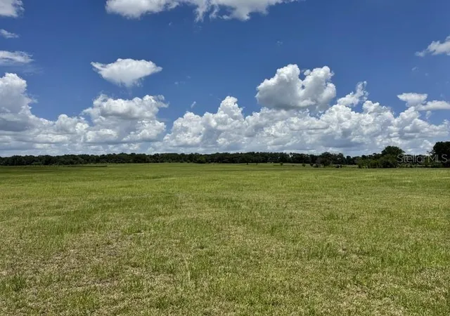 4th image of Nw 131 St, Reddick, FL 32686 | MLS# OM727148