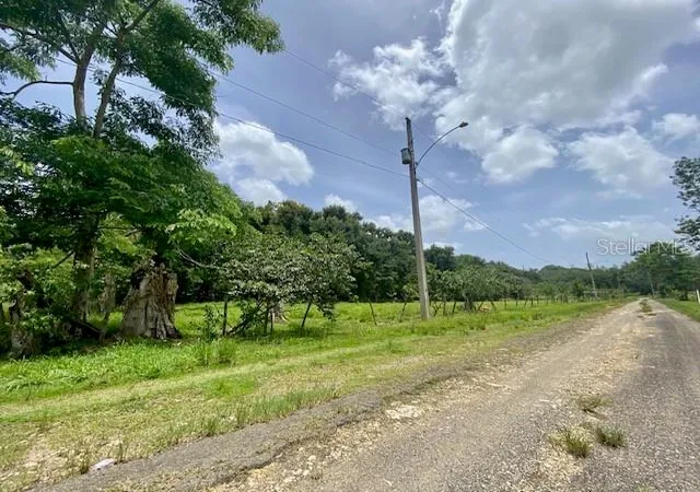 Homes for sale in Vega Baja, PR | Pr 155 Ramal 646, Vega Baja, PR 00693 | MLS# PR9122247