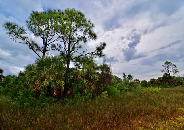Homes for sale in Perry, FL | 00 Lots 18,19 Adams Beach Road, Perry, FL 32348 | MLS# OM727152