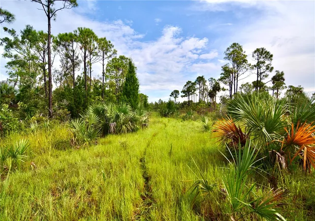 Homes for sale in Perry, FL | 00 Lots 18,19 Adams Beach Road, Perry, FL 32348 | MLS# OM727152