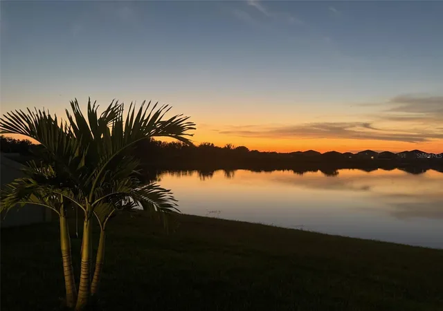 3rd image of 3117 King Fern Dr, Wimauma, FL 33598 | MLS# TB8521849