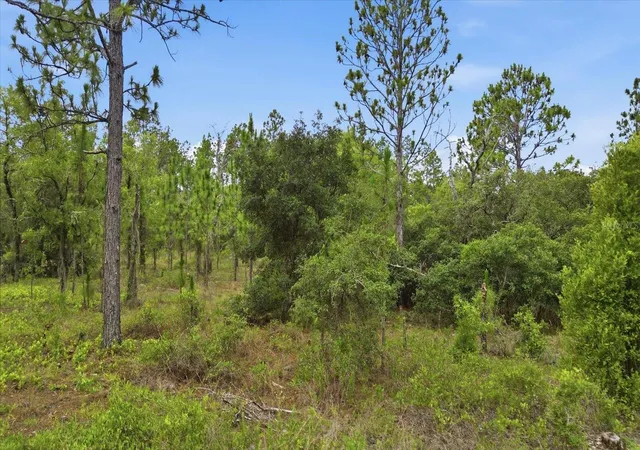 Photo 2 of Land for sale at 0000 Sw Plaza Ct, Dunnellon, FL 34431 | MLS# TB8521937 | Listing updated on 2026-09-01