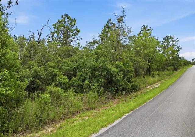 Photo 3 of Land for sale at 0000 Sw Plaza Ct, Dunnellon, FL 34431 | MLS# TB8521937 | Listing updated on 2026-09-01