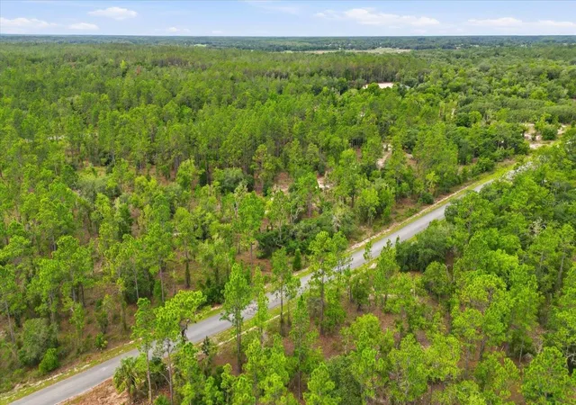 Photo 3 of Land for sale at 0000 SW Plaza Ct, Dunnellon, FL 34431 | MLS# TB8521937 | Listing updated on 2026-09-01