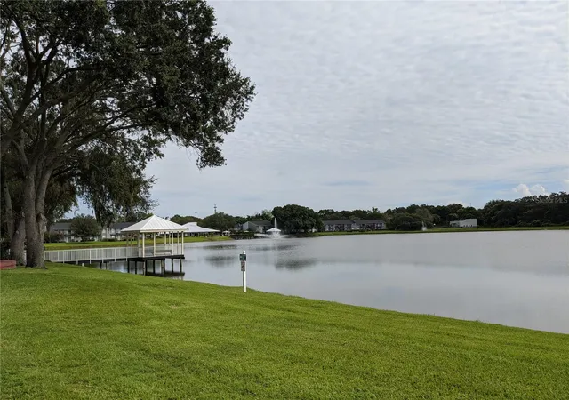 4th image of 209 Lake Brk Cir, BRANDON, FL 33511