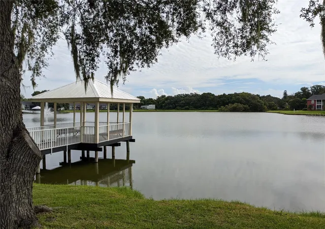 5th image of 209 Lake Brk Cir, BRANDON, FL 33511