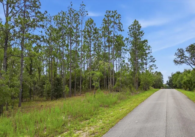 Photo 2 of Land for sale at 0000 Sw Sands Point Ave Lot 38, Dunnellon, FL 34431 | MLS# TB8521954 | Listing updated on 2026-09-01
