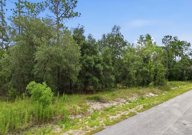 Photo 3 of Land for sale at 0000 Sw Sands Pt Ave Lot 32, Dunnellon, FL 34431 | MLS# TB8521969 | Listing updated on 2026-09-01