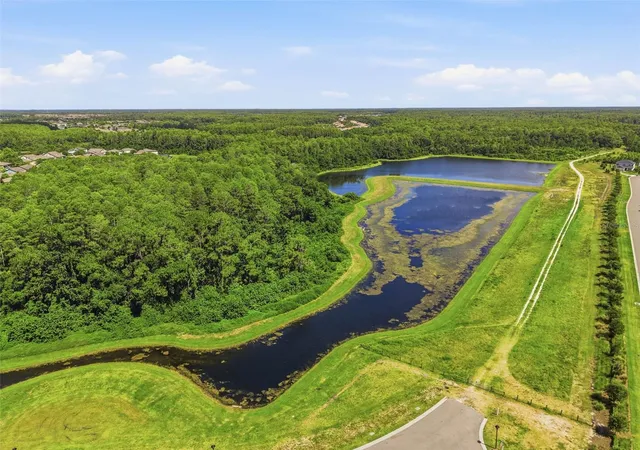 83rd image of 13631 Rangeland Boulevard, Odessa, FL 33556 | MLS# W7886965