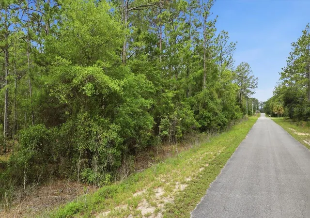 Photo 2 of Land for sale at 0000 Sw Beaver Dr, Dunnellon, FL 34431 | MLS# TB8521987 | Listing updated on 2026-09-01