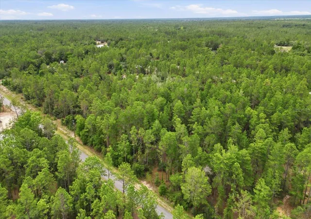 Photo 4 of Land for sale at 0000 SW Beaver Dr, Dunnellon, FL 34431 | MLS# TB8521987 | Listing updated on 2026-09-01