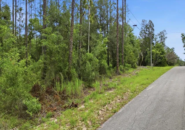Photo 2 of Land for sale at 0000 Sw Nautilus Blvd, Dunnellon, FL 34431 | MLS# TB8522010 | Listing updated on 2026-09-01