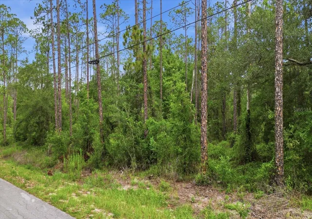 Photo 3 of Land for sale at 0000 Sw Nautilus Blvd, Dunnellon, FL 34431 | MLS# TB8522010 | Listing updated on 2026-09-01