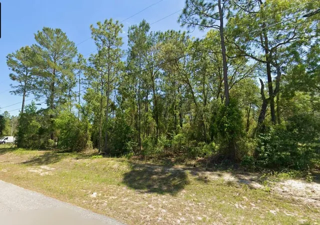 Photo 4 of Land for sale at SW Nautilus Blvd, Dunnellon, FL 34431 | MLS# O6419047 | Listing updated on 2026-06-23