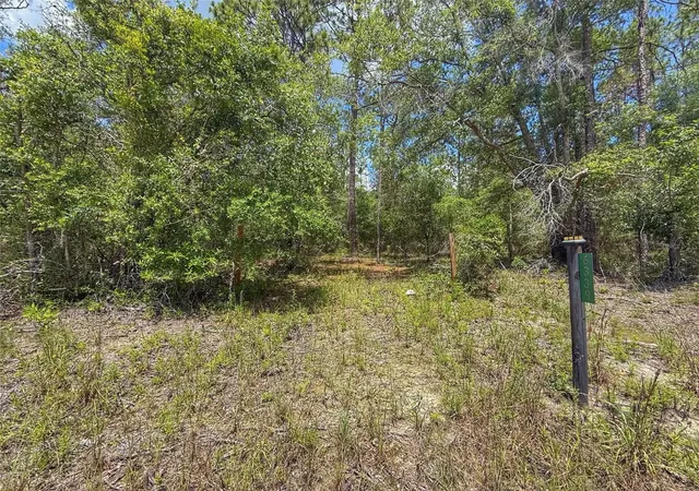 Homes for sale in Bell, FL | 6339 Nw 17th Ct, Bell, FL 32619 | MLS# GC541390