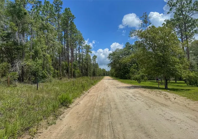 Homes for sale in Bell, FL | 6339 Nw 17th Ct, Bell, FL 32619 | MLS# GC541390