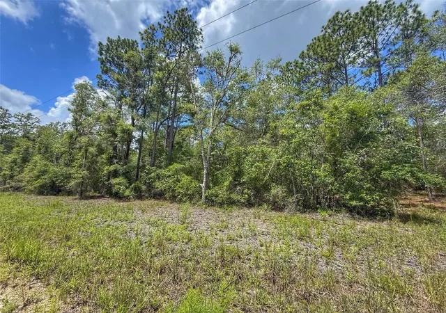 Homes for sale in Bell, FL | 6339 Nw 17th Ct, Bell, FL 32619 | MLS# GC541390