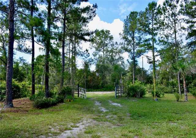 2nd image of 33135 Forest Ridge Rd, Deland, FL 32720 | MLS# V4949803