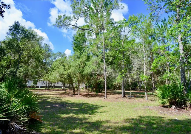 5th image of 33135 Forest Ridge Rd, Deland, FL 32720 | MLS# V4949803