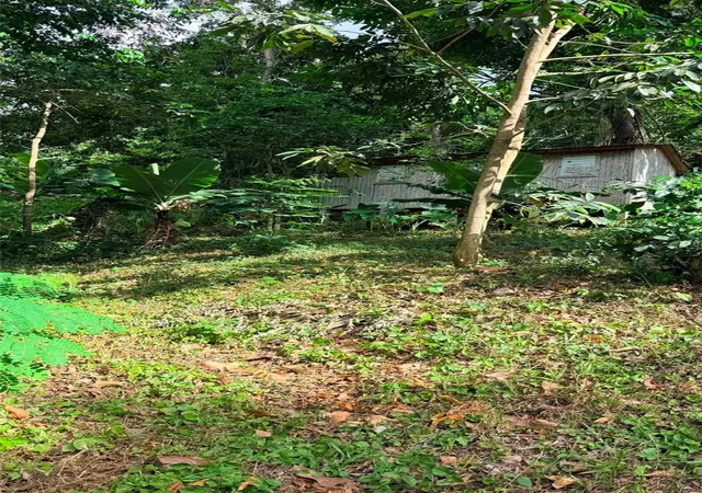 Homes for sale in San German, PR | Cain Alto Bo Hoconuco Alto, San German, PR 00683 | MLS# PR9122257