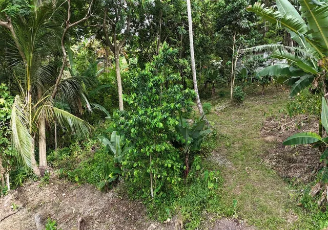 Homes for sale in San German, PR | Cain Alto Bo Hoconuco Alto, San German, PR 00683 | MLS# PR9122257