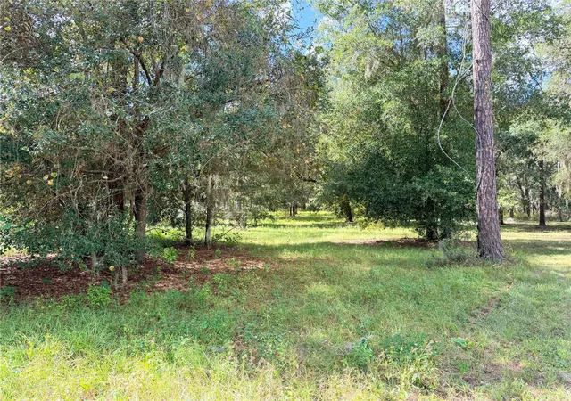 Photo 1 of Land for sale at Bonsmara Dr, Groveland, FL 34736 | MLS# G5114166 | Listing updated on 2026-09-10