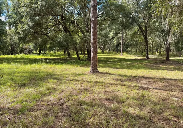 Photo 3 of Land for sale at Bonsmara Dr, Groveland, FL 34736 | MLS# G5114166 | Listing updated on 2026-09-10