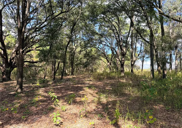 Photo 4 of Land for sale at Bonsmara Dr, Groveland, FL 34736 | MLS# G5114166 | Listing updated on 2026-09-10
