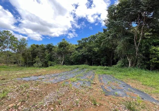 Homes for sale in Carolina, PR | Lot 5 Km 25 Carretera 856, Carolina, PR 00987 | MLS# PR9122261