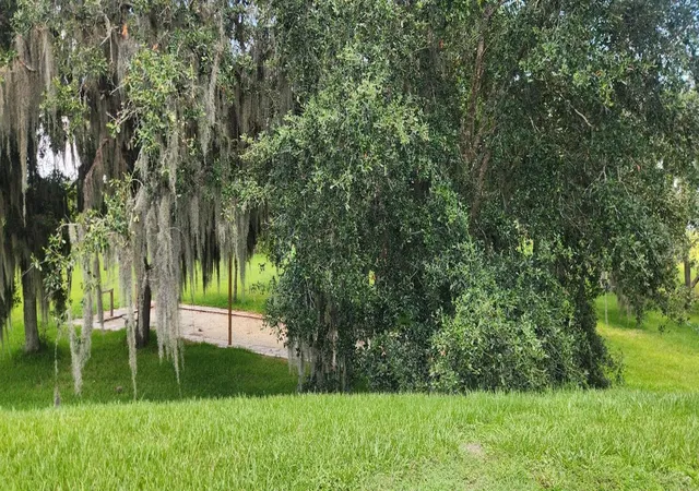2nd image of 3316 Fish Hawk Dr, Polk City, FL 33868 | MLS# G5114173