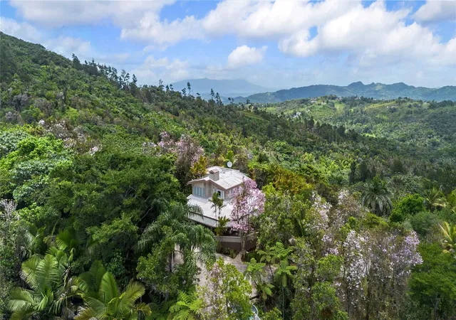 Homes for sale in Cayey, PR | Pr 184 Guavate, Cayey, PR 00736 | MLS# PR9122267