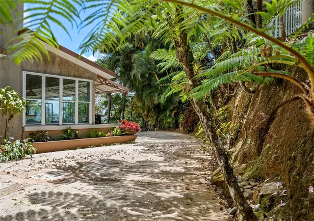 Homes for sale in Cayey, PR | Pr-184 Guavate, Cayey, PR 00736 | MLS# PR9122267