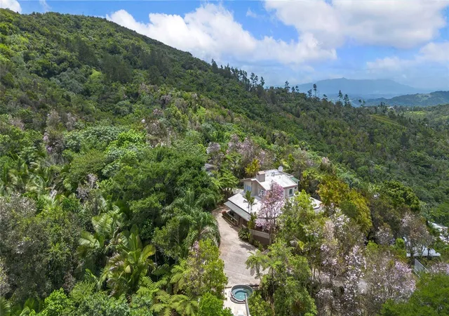 Homes for sale in Cayey, PR | Pr 184 Guavate, Cayey, PR 00736 | MLS# PR9122267