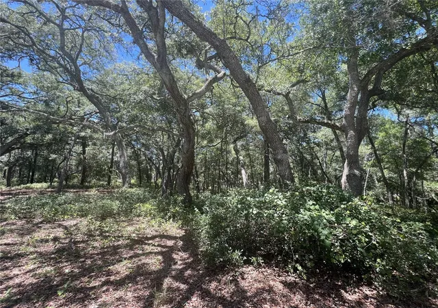 Homes for sale in De Leon Springs, FL | 1425 Renbar Rd, De Leon Springs, FL 32130 | MLS# FC319461