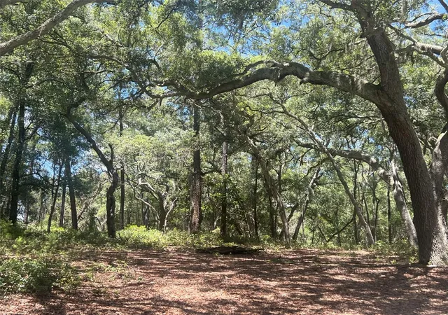 4th image of 1425 Renbar Rd, De Leon Springs, FL 32130 | MLS# FC319461