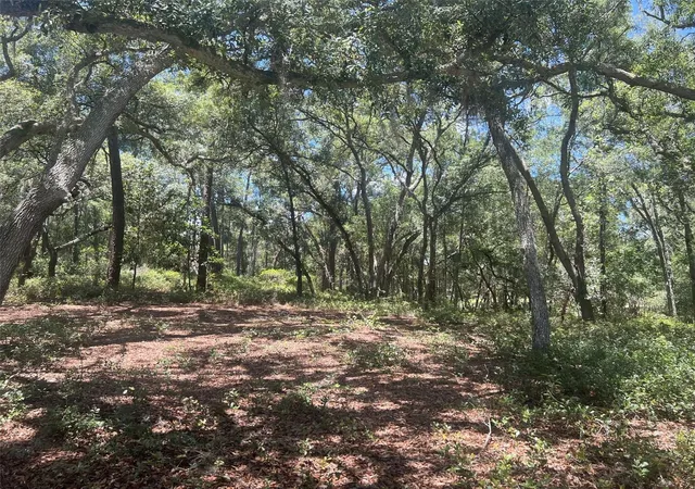 5th image of 1425 Renbar Rd, De Leon Springs, FL 32130 | MLS# FC319461