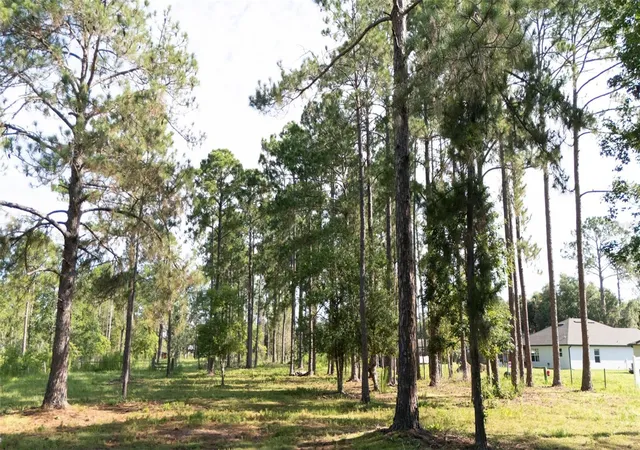 3rd image of No Street, Deland, FL 32720 | MLS# V4949810