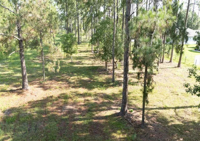 4th image of No Street, Deland, FL 32720 | MLS# V4949810