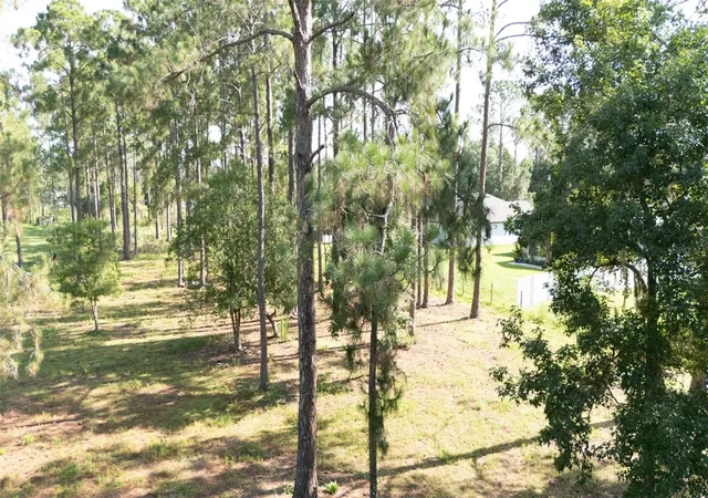 5th image of No Street, Deland, FL 32720 | MLS# V4949810