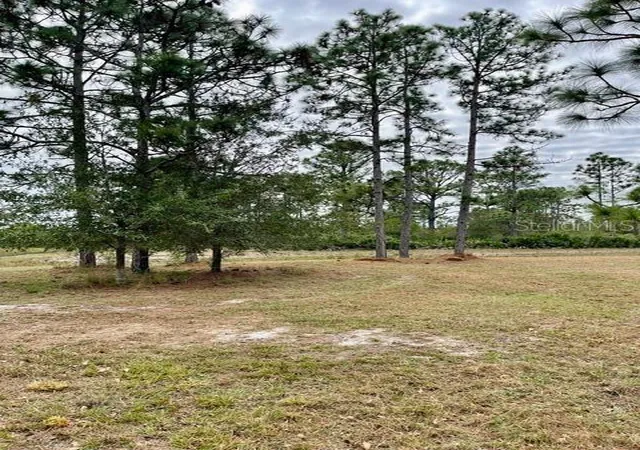 Photo 4 of Sale Pending at Caesar Ave, Orlando, FL 32833 | MLS# O6419238 | Listing updated on 2026-10-01