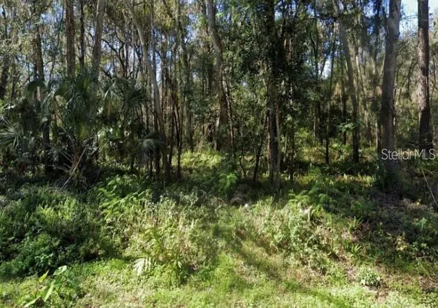 Homes for sale in Brooksville, FL | 0 Zoller St, Brooksville, FL 34601 | MLS# TB8522364
