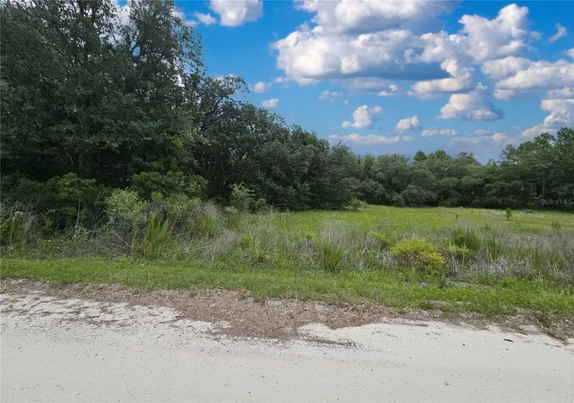 Homes for sale in Morriston, FL | 11751 Se 57Th St, Morriston, FL 32668 | MLS# OM727236