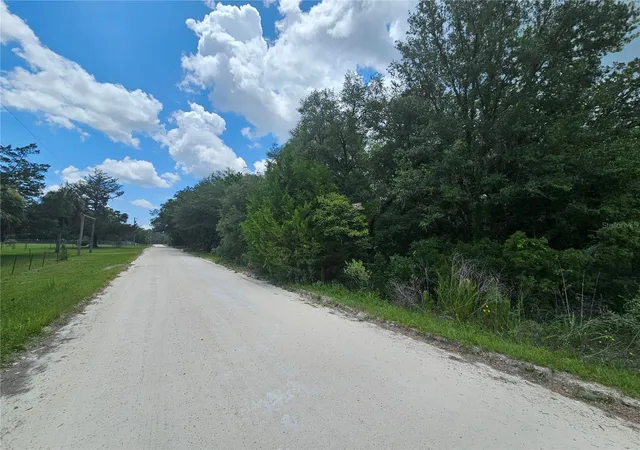 Homes for sale in Morriston, FL | 11751 Se 57Th St, Morriston, FL 32668 | MLS# OM727236