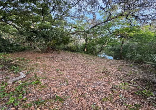 5th image of 901 Shoals Landing Dr, Brandon, FL 33511 | MLS# TB8522480