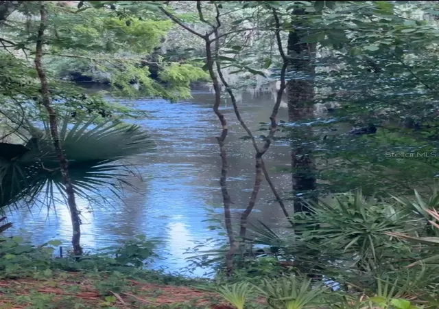6th image of 901 Shoals Landing Dr, Brandon, FL 33511 | MLS# TB8522480